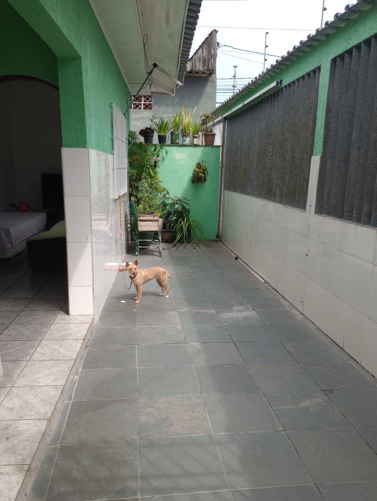 Casa, 2 quartos, 193 m² - Foto 14