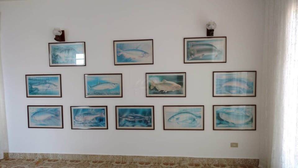 Casa, 3 quartos, 150 m² - Foto 6