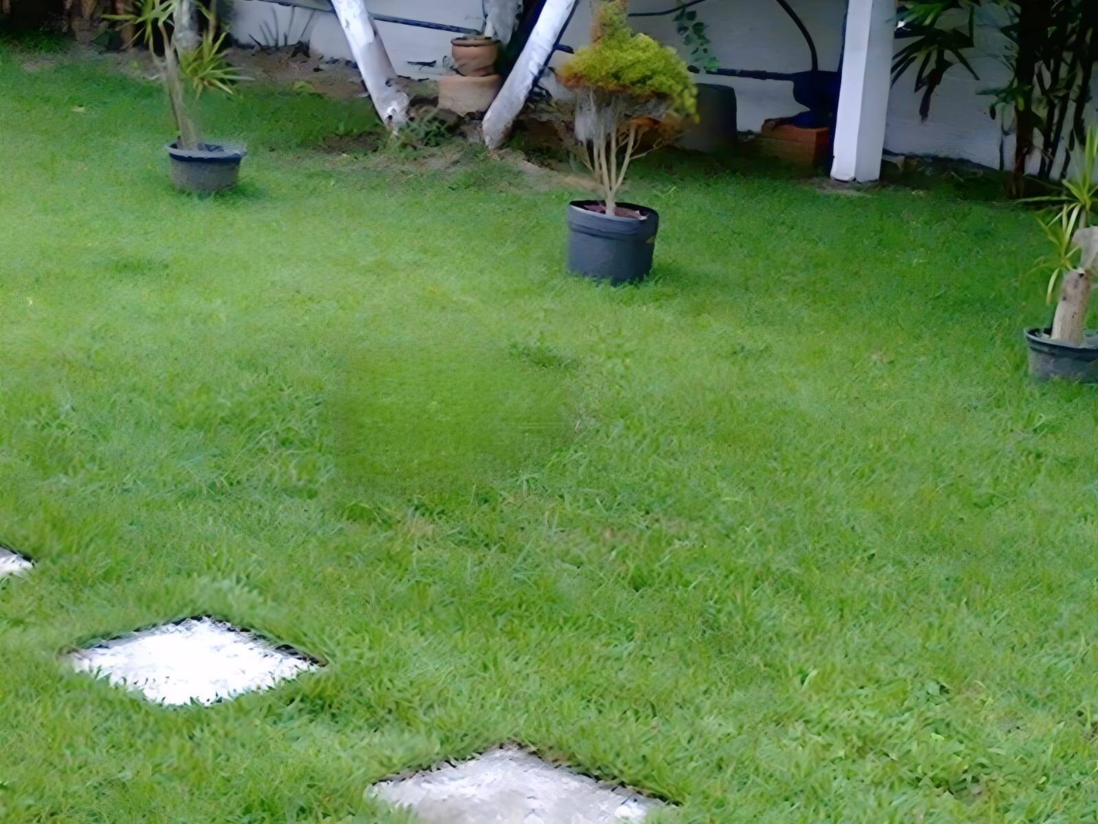 Casa, 9 quartos, 490 m² - Foto 18