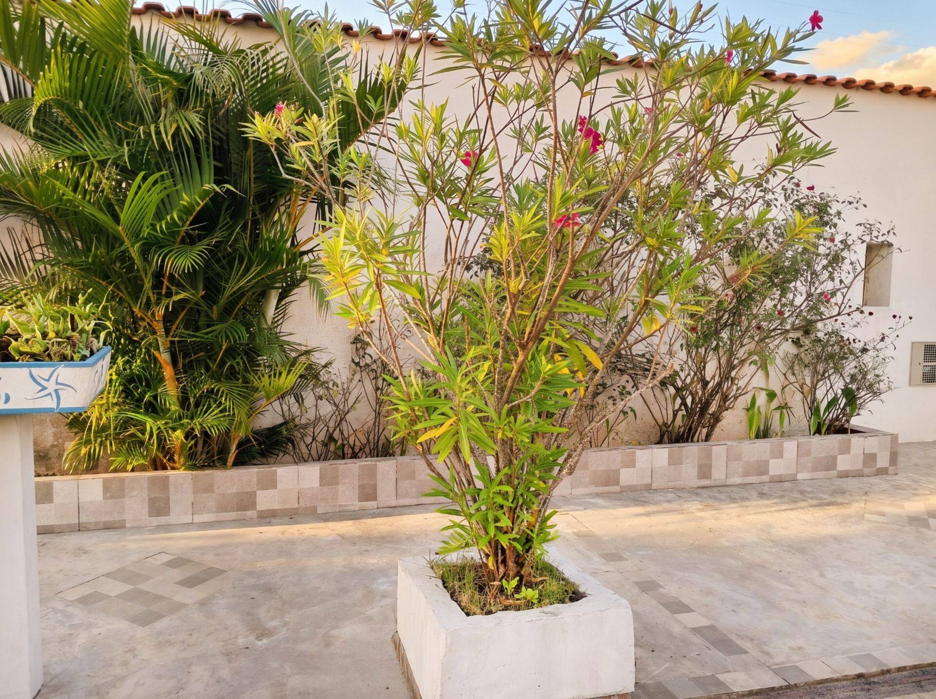 Casa, 4 quartos, 164 m² - Foto 49